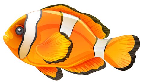 transparent fish graphic.